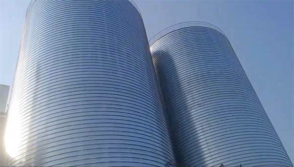 仓山2座混凝土高架卷板仓